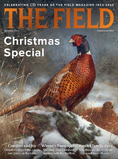 The Field digital cover