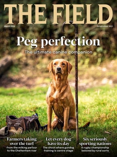 The Field digital cover