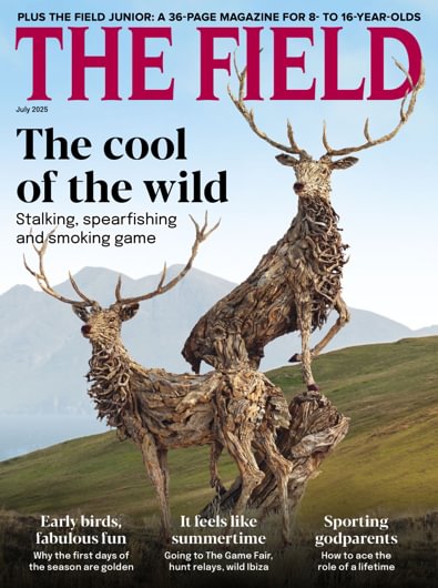 The Field digital cover