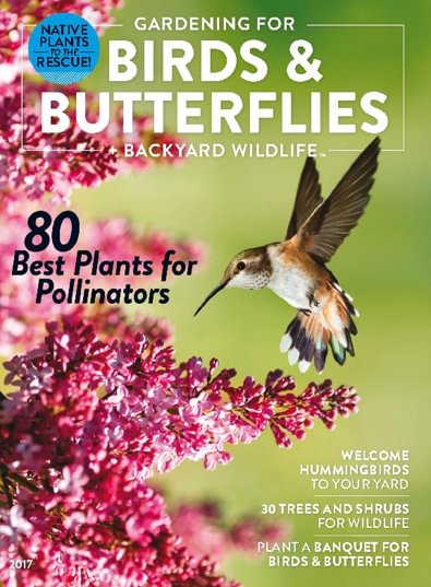 Gardening for Birds and Butterflies + Backyard Wil digital cover