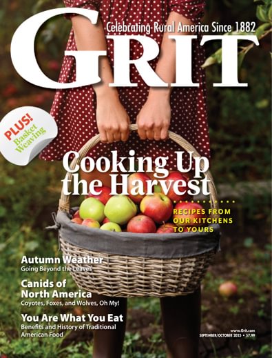 Grit digital cover