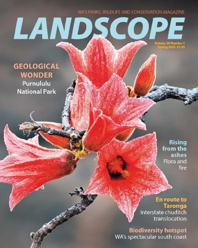 LANDSCOPE Magazine digital cover