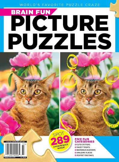 Picture Puzzles digital cover