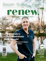 Renew Magazine
