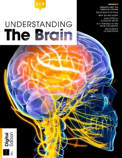 Understanding The Brain digital cover