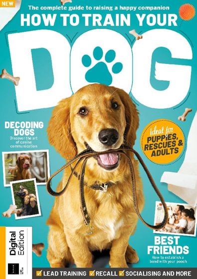 How To Train Your Dog digital cover
