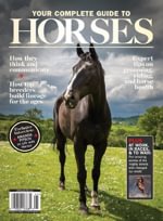Your Complete Guide to Horses