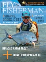 Fly Fisherman