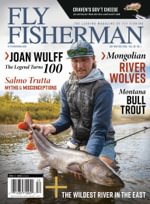 Fly Fisherman