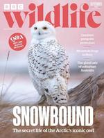 BBC Wildlife (UK)