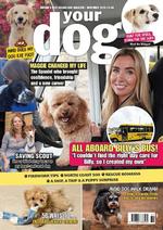 Your Dog (UK)