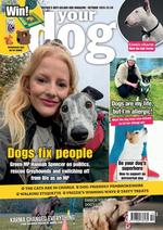 Your Dog (UK)