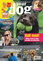 Your Dog (UK)