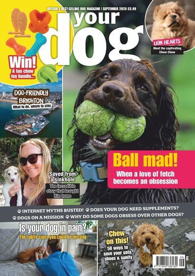 Your Dog (UK) magazine cover