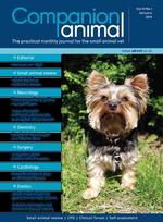 Companion Animal (UK)