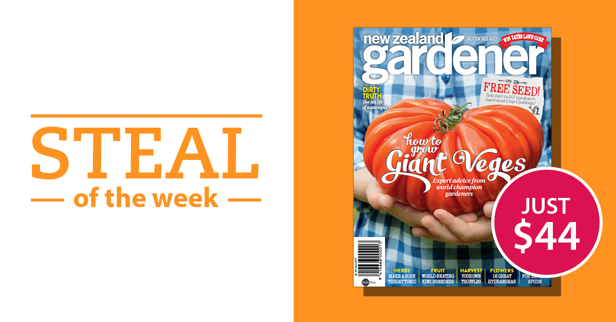 NZ Gardener Magazine Subscription isubscribe.co.nz