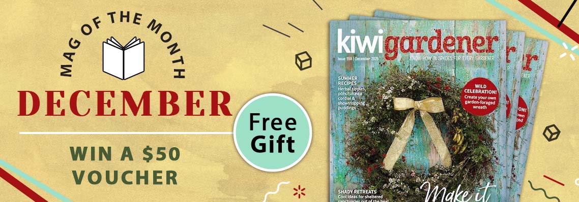 December Mag of the Month