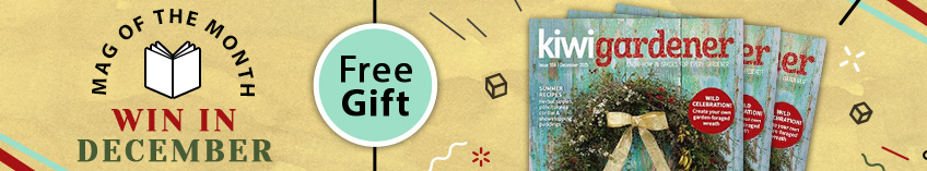 December Mag of the Month